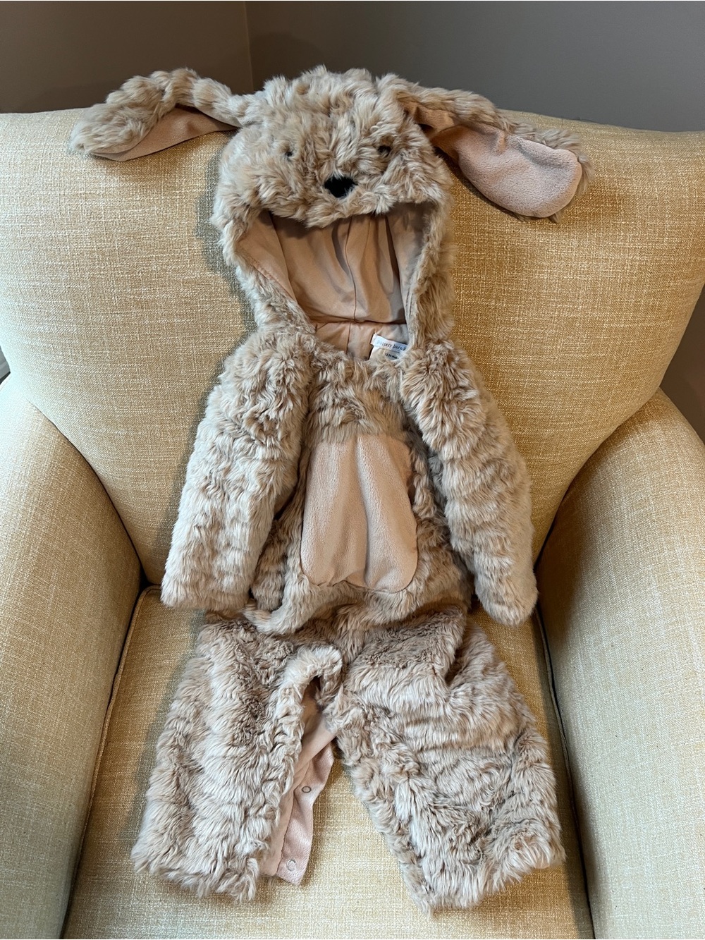 OPOTTERY BARN KIDS BABY LABRADOODLE DOG HALLOWEEN COSTUME size 12-24 mos.